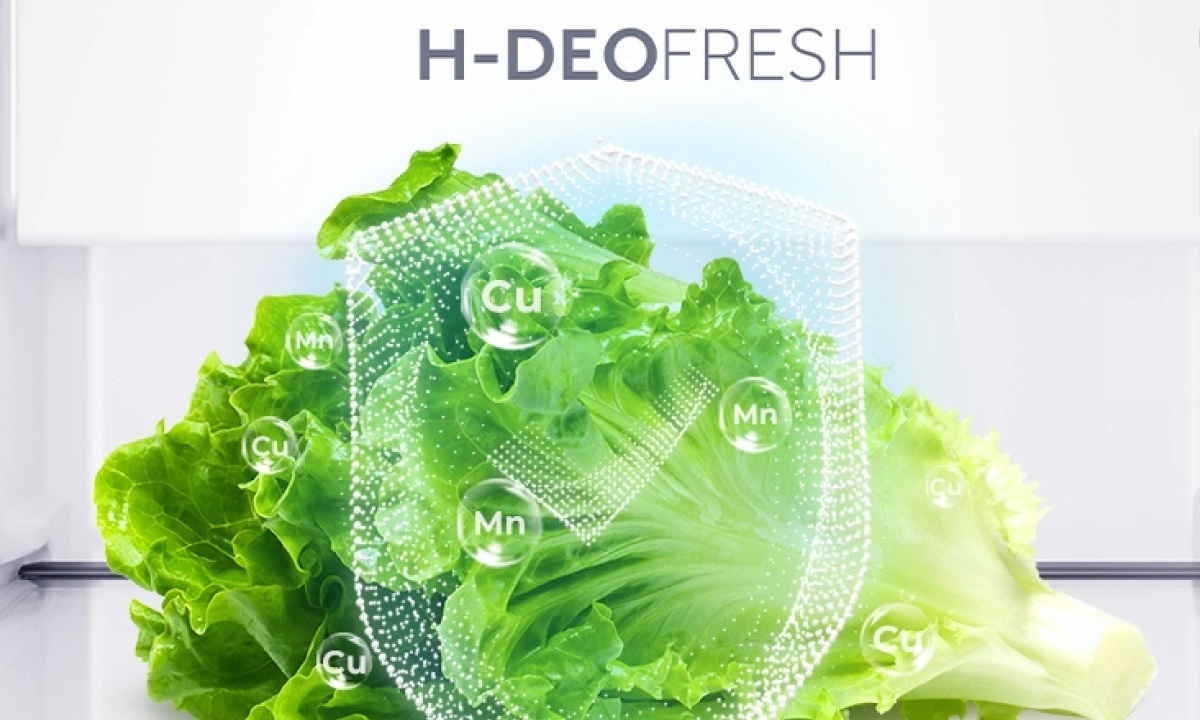 Tủ lạnh Aqua Inverter 506 lít AQR-M570XA(FS) 3